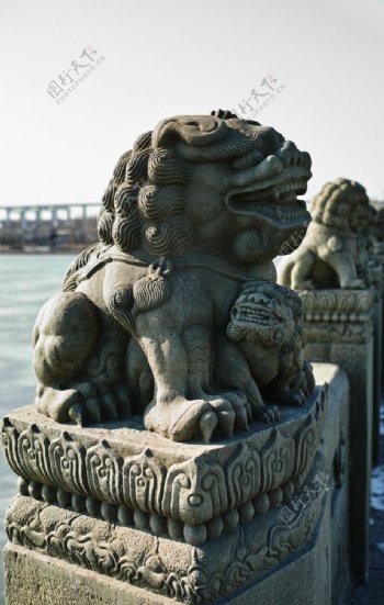 北京卢沟桥石狮图片