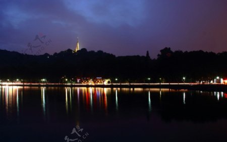 西湖夜景保俶塔图片