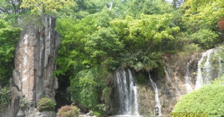 绿树瀑布图片