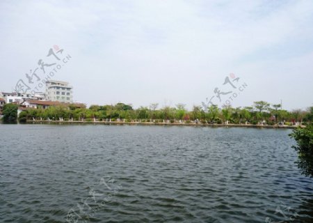 莆田白塘公园风景图片
