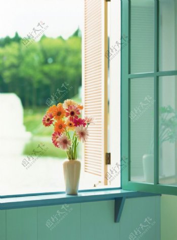 窗台上的插花图片