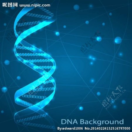 人体DNA图片