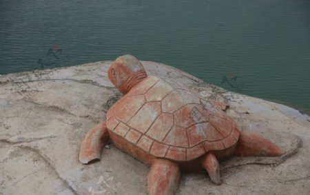 乌龟雕塑图片