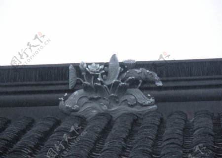 苏式古建鲤鱼跳龙图片