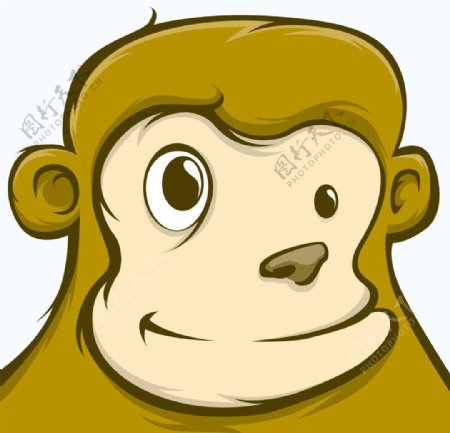 猴子脸部特写图片