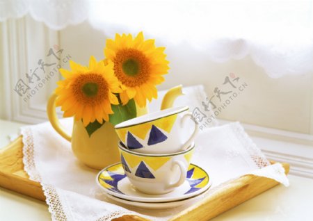 窗前向日葵茶壶茶杯图片