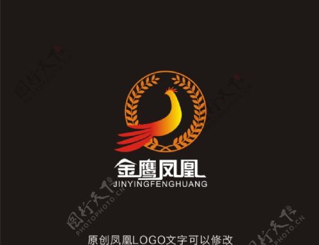 金鹰LOGO设计图片