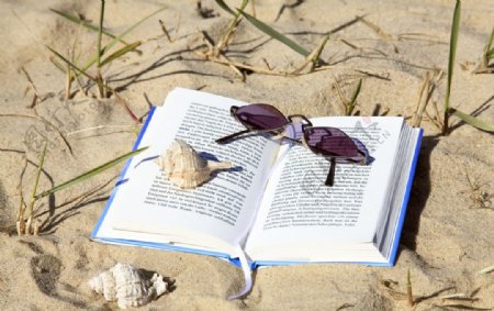 沙滩书和眼镜图片