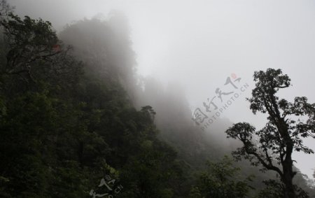 金秀莲花山图片