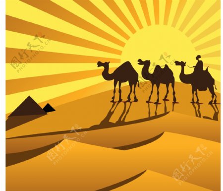 金色沙漠上的骆驼剪影矢量素材图片