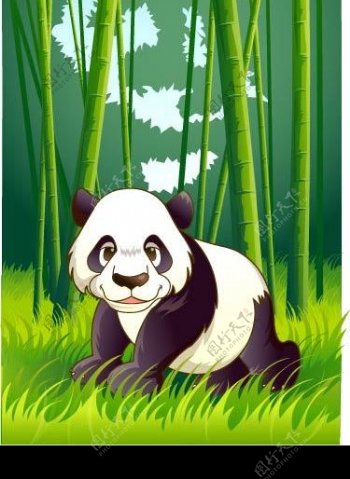 森林熊猫图片