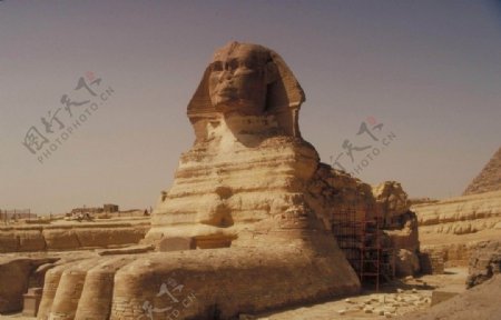 沙漠金字塔骆驼沙子蓝天埃及狮身人面像图片