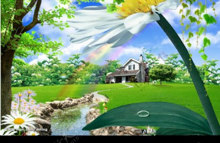 韩国绿色自然PSD模板图片