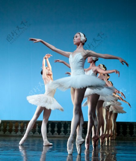 女子芭蕾群舞图片
