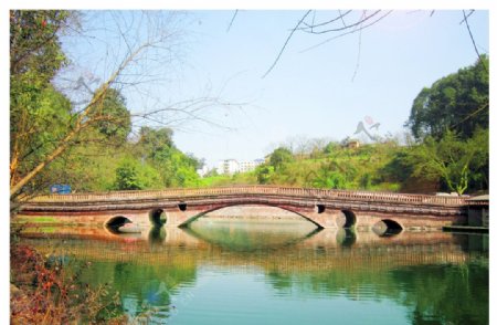 海棠公园的桥图片