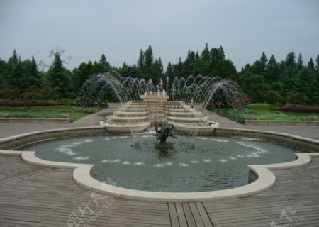 杭州花圃喷水图片