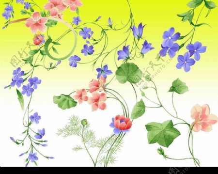 八种高清手绘花卉图片