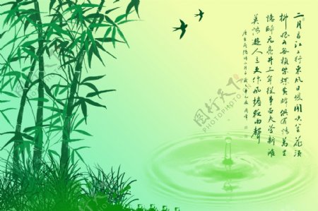 竹子风景图片