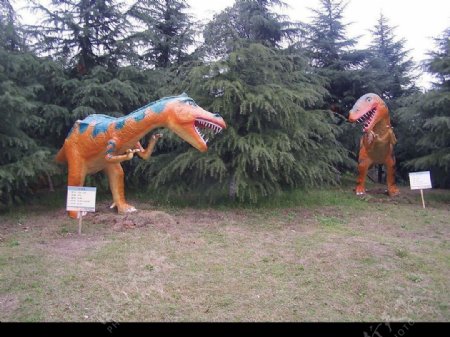 仿生恐龙恐龙图片仿真恐龙