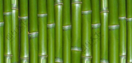 竹排图片
