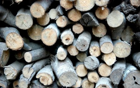 材剁木材生活素材图片