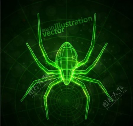 绿色光线蜘蛛图片