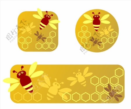 蜜蜂蜂蜜蜂图片
