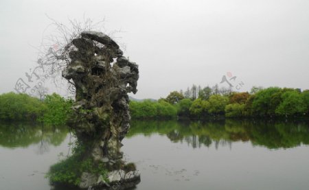 湖上的太湖石图片