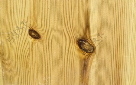木材质木纹理木纹图片