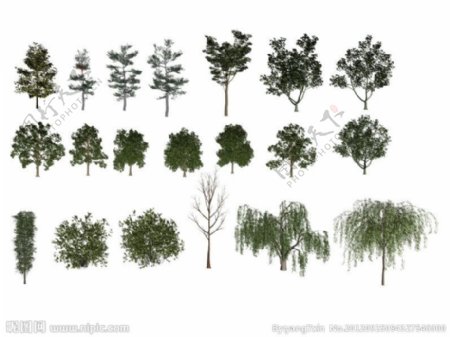 20款树模型图片