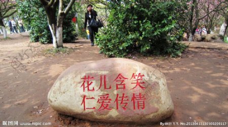 樱花园石头题字图片