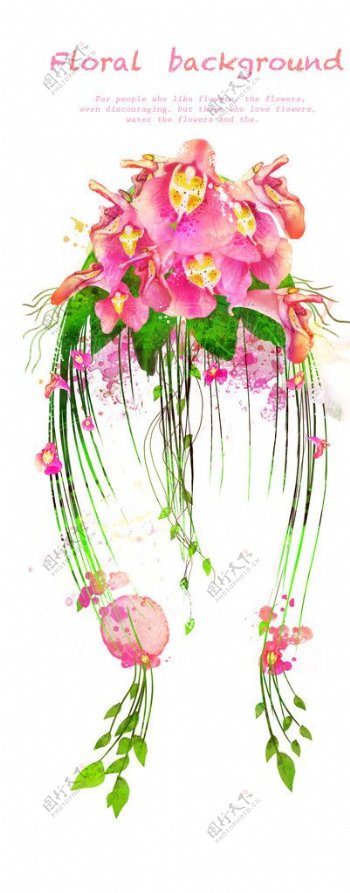 粉红花朵藤蔓装饰图片