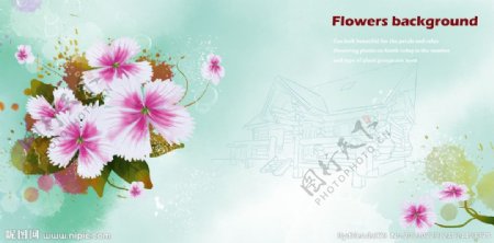 韩式小花图片