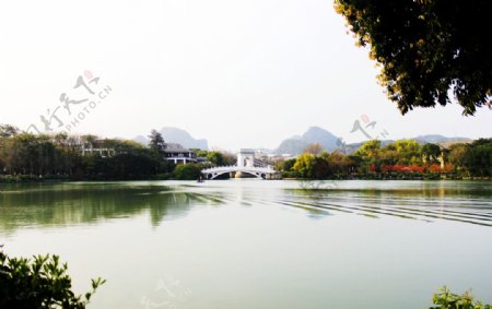 两江四湖榕湖风光图片