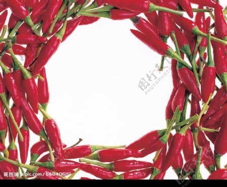 红辣椒像框图片