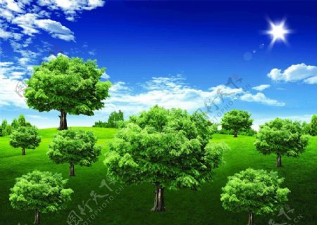 蓝天绿草地背景图片