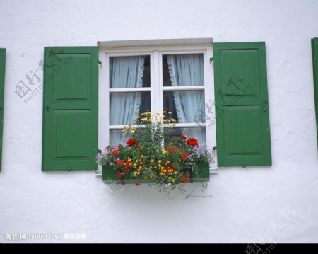 窗台绿化图片