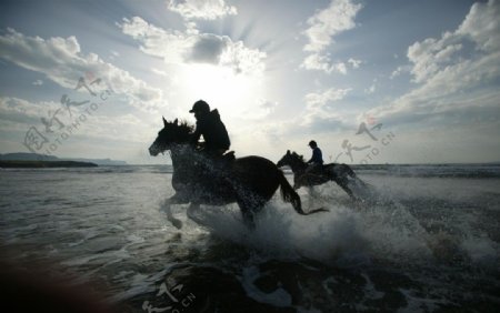 骑着马飞跑过河溅起水花图片