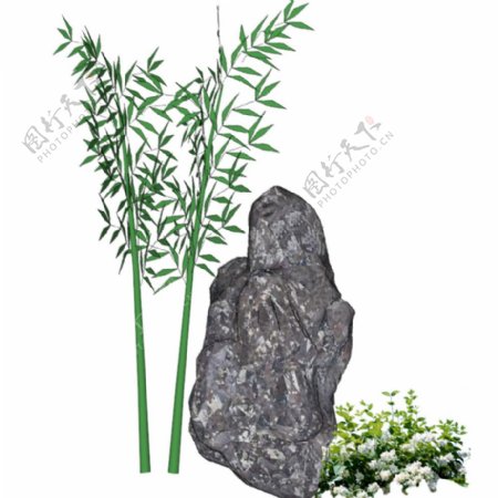石头与竹子图片
