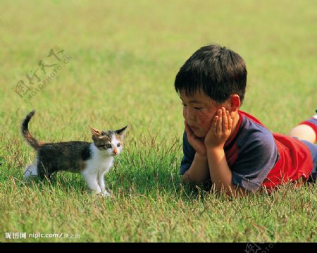 儿童与猫图片