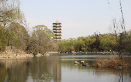 北京大学博雅塔未名湖图片
