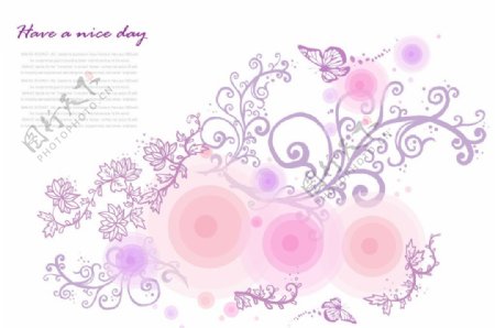 紫色蝴蝶与花纹图片