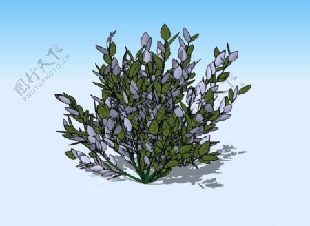 草丛3D模型图片