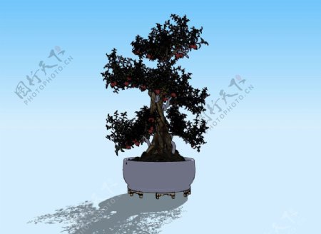 石榴盆景3D模型图片