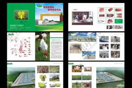 畜牧业画册图片