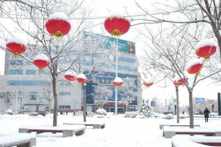 雪中灯笼图片