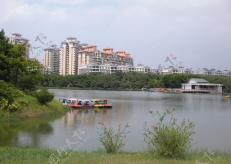 大夫山风景图片