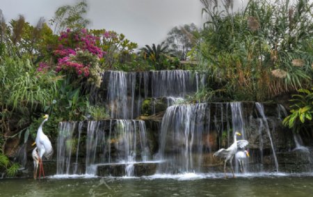 莲花山风景区图片