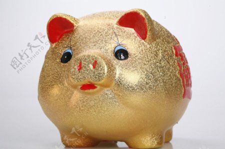 金猪存钱罐图片