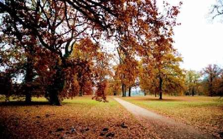 德国波茨坦的秋色图片